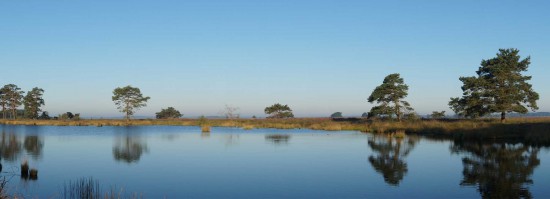 impression-mobile-img-1