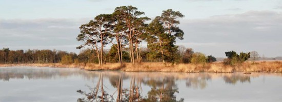 impression-mobile-img-2